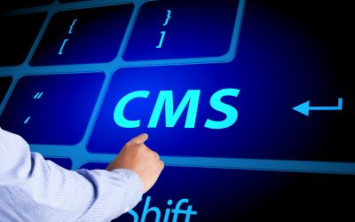 Vérification CMS SEO : vérification CMS